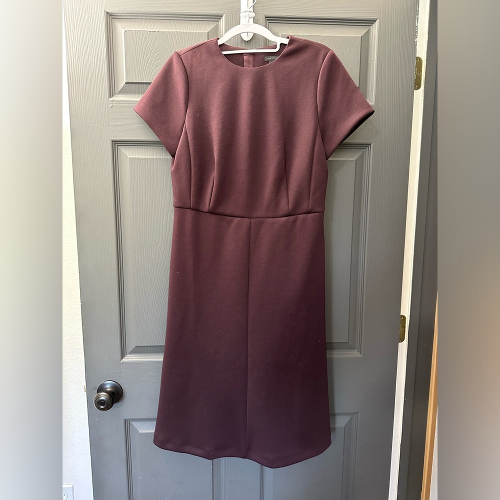 ☀️ NWOT! Ann Taylor Dress